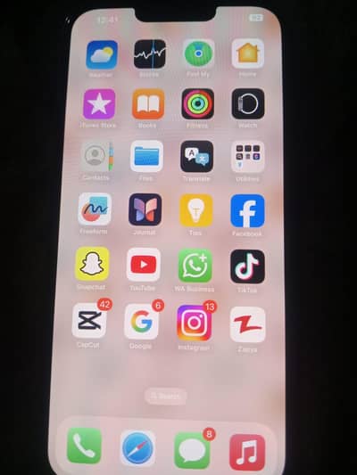 Apple iPhone 13 Pro Max