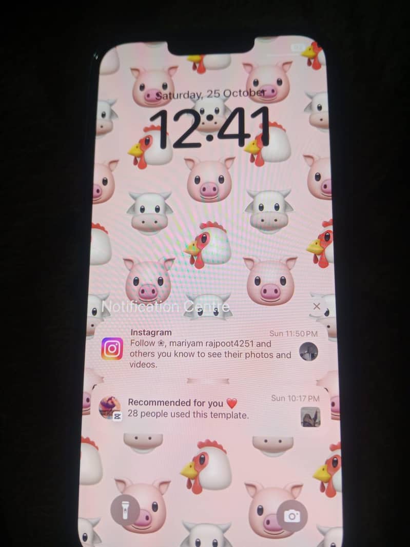 Apple iPhone 13 Pro Max 6