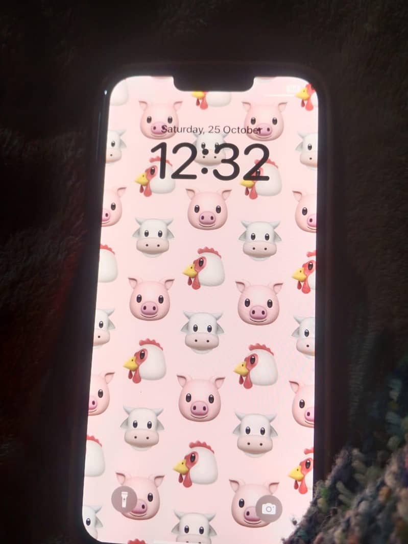 Apple iPhone 13 Pro Max 9