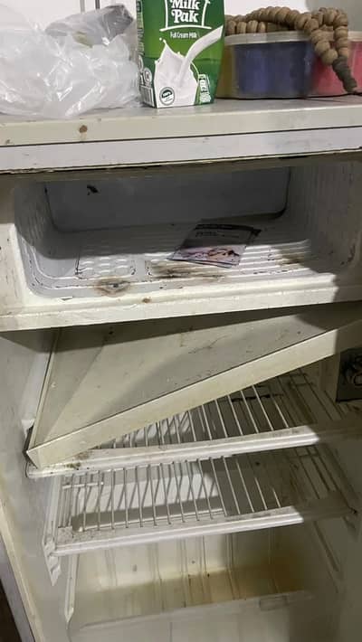 Pel small size fridge