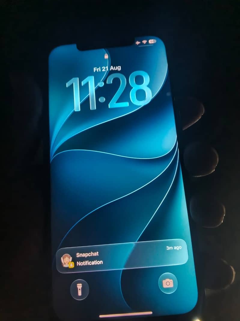 Apple iPhone 12 Pro Max 5