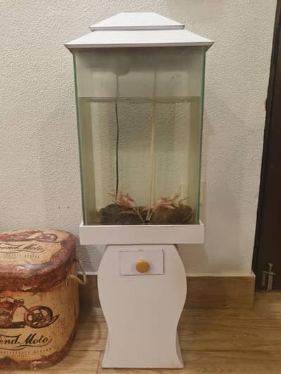 Fish Tank 2 by 1