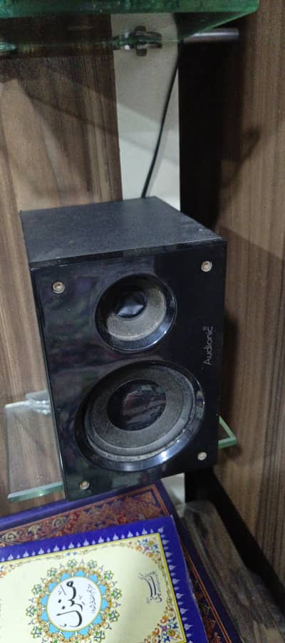 Audionic speaker