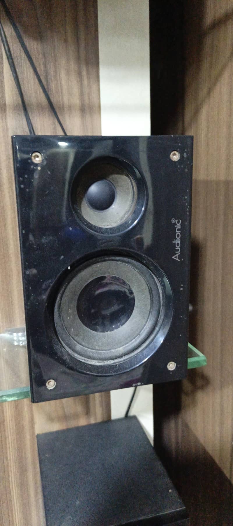 Audionic speaker 1