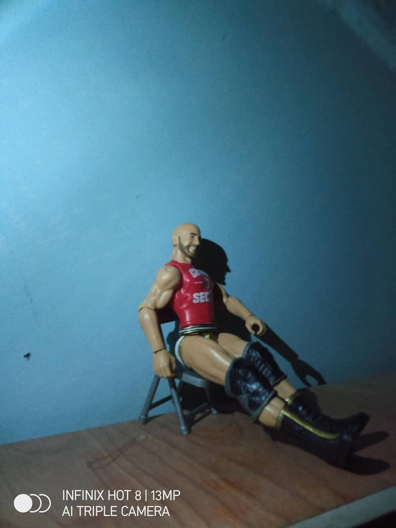 WWE Action Figures 1