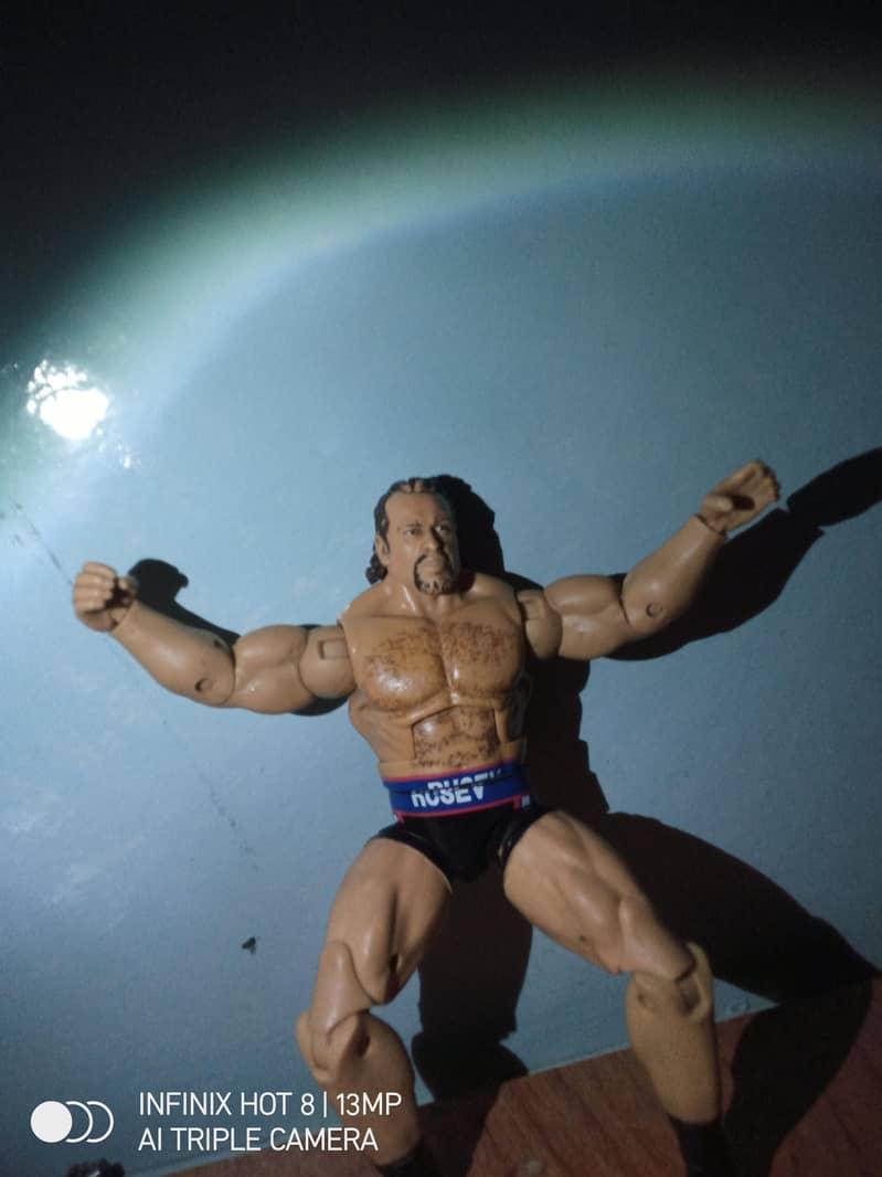 WWE Action Figures 18
