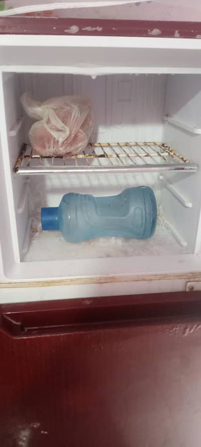 Orient 2 Door Refrigerator