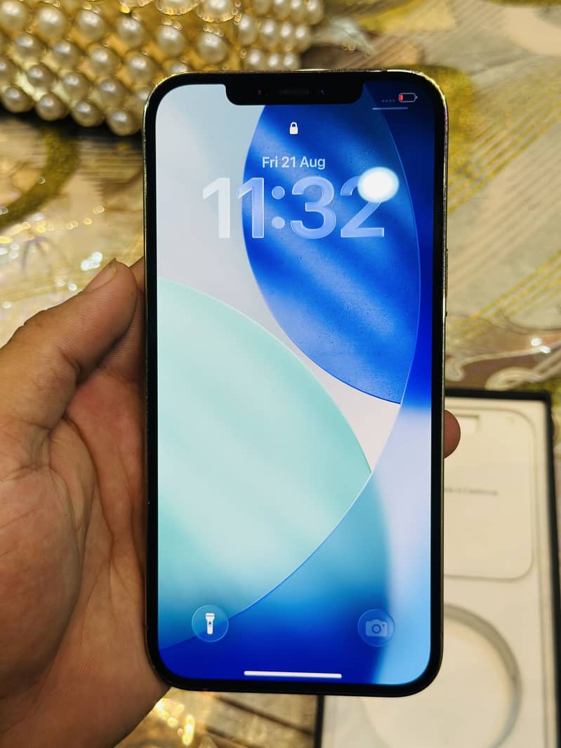Apple iPhone 12 Pro Max 5