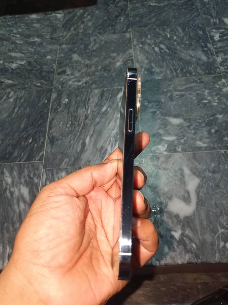 Apple iPhone 13 Pro Max 1