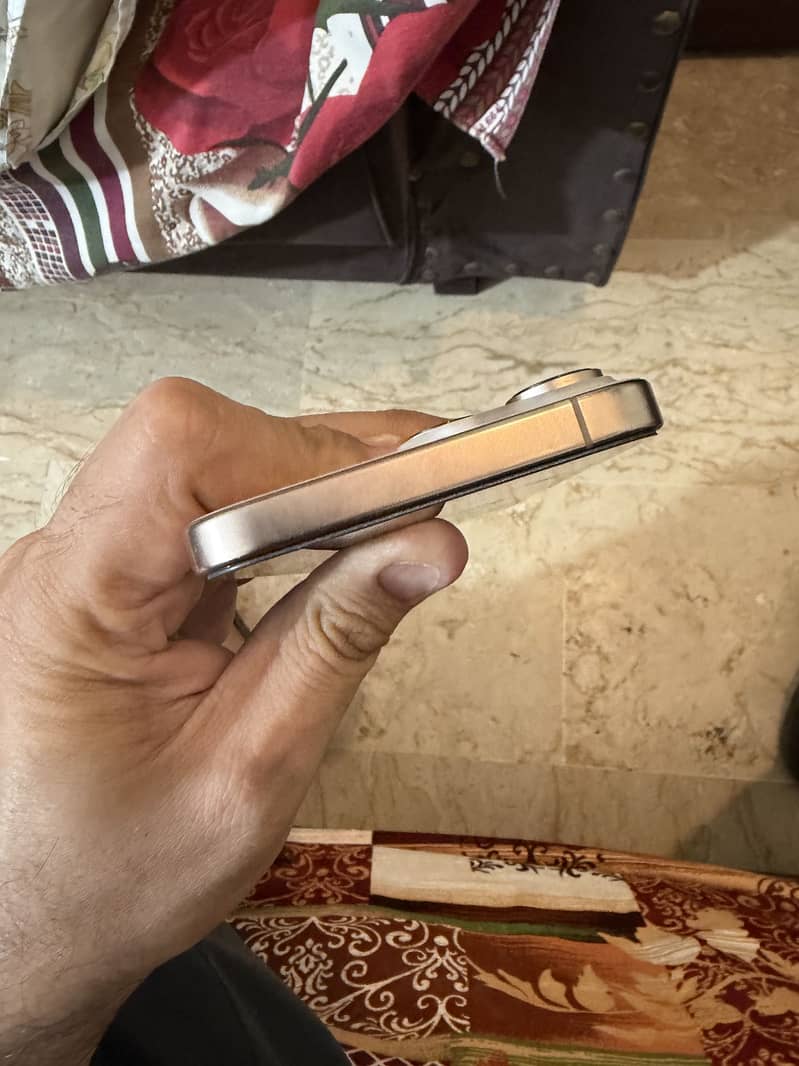 Apple iPhone 16 Pro Max 1