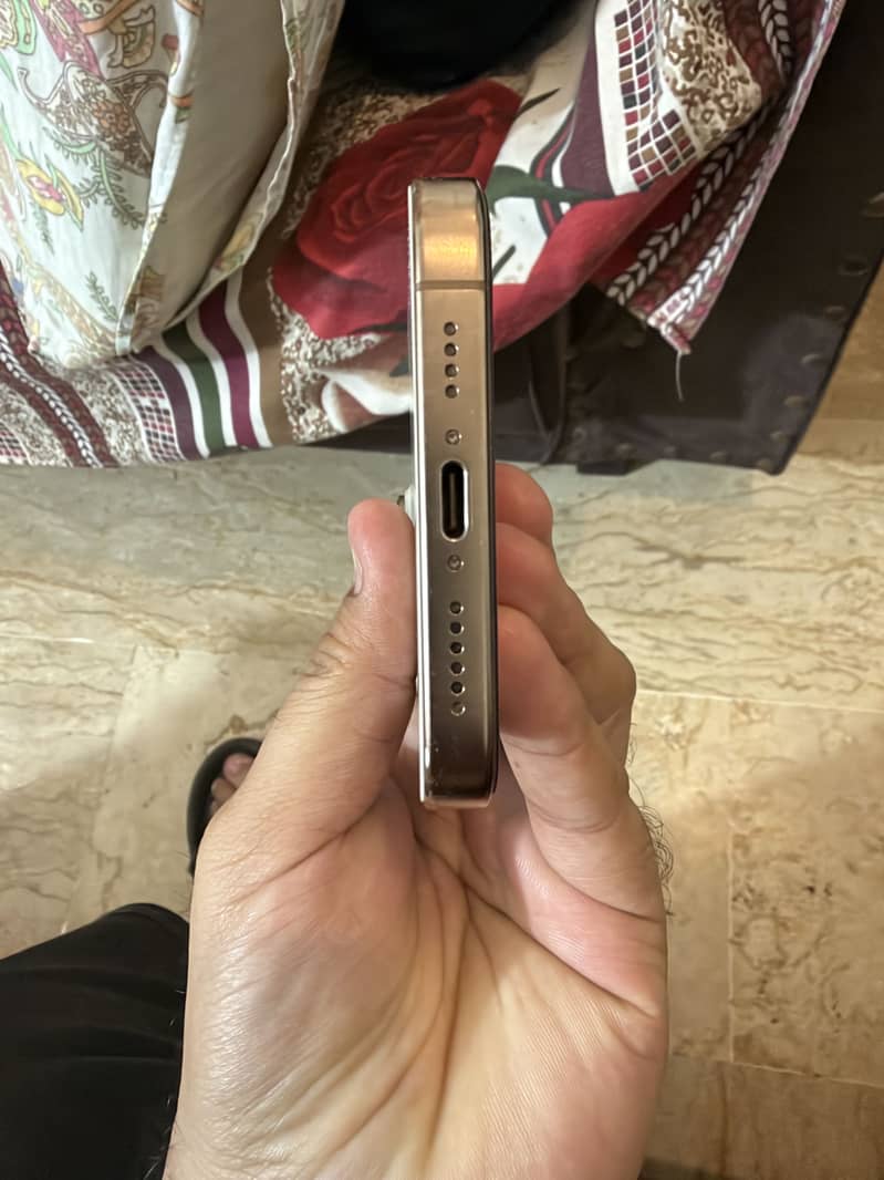 Apple iPhone 16 Pro Max 2