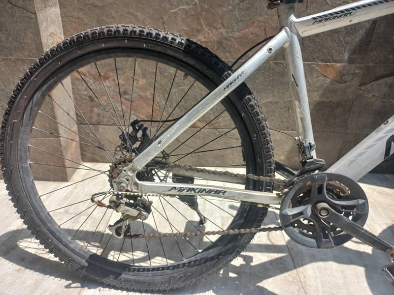 mountain cycle 2
