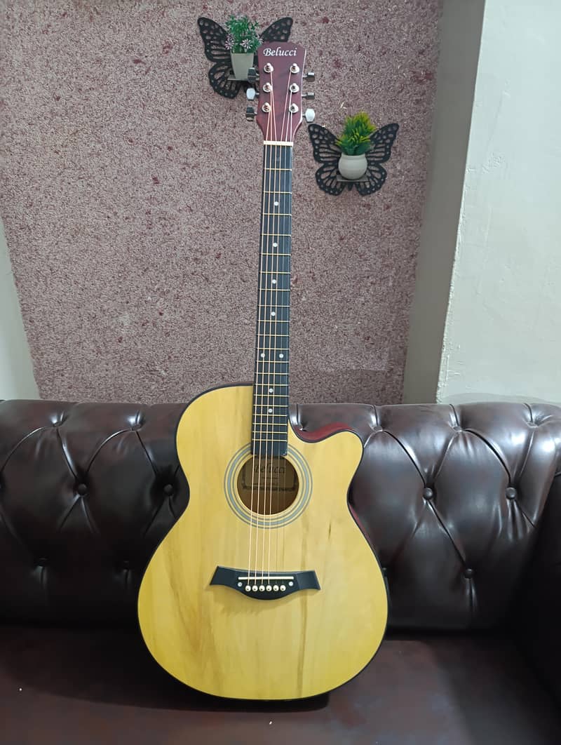 imported Guitar 3