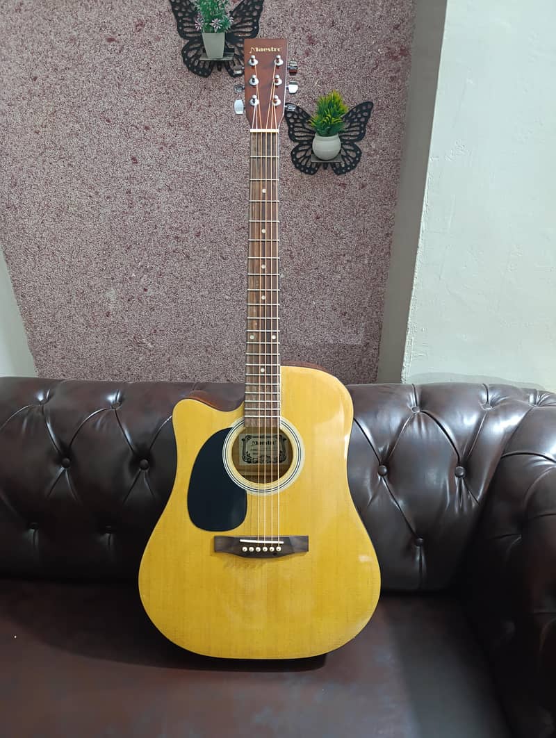 imported Guitar 5