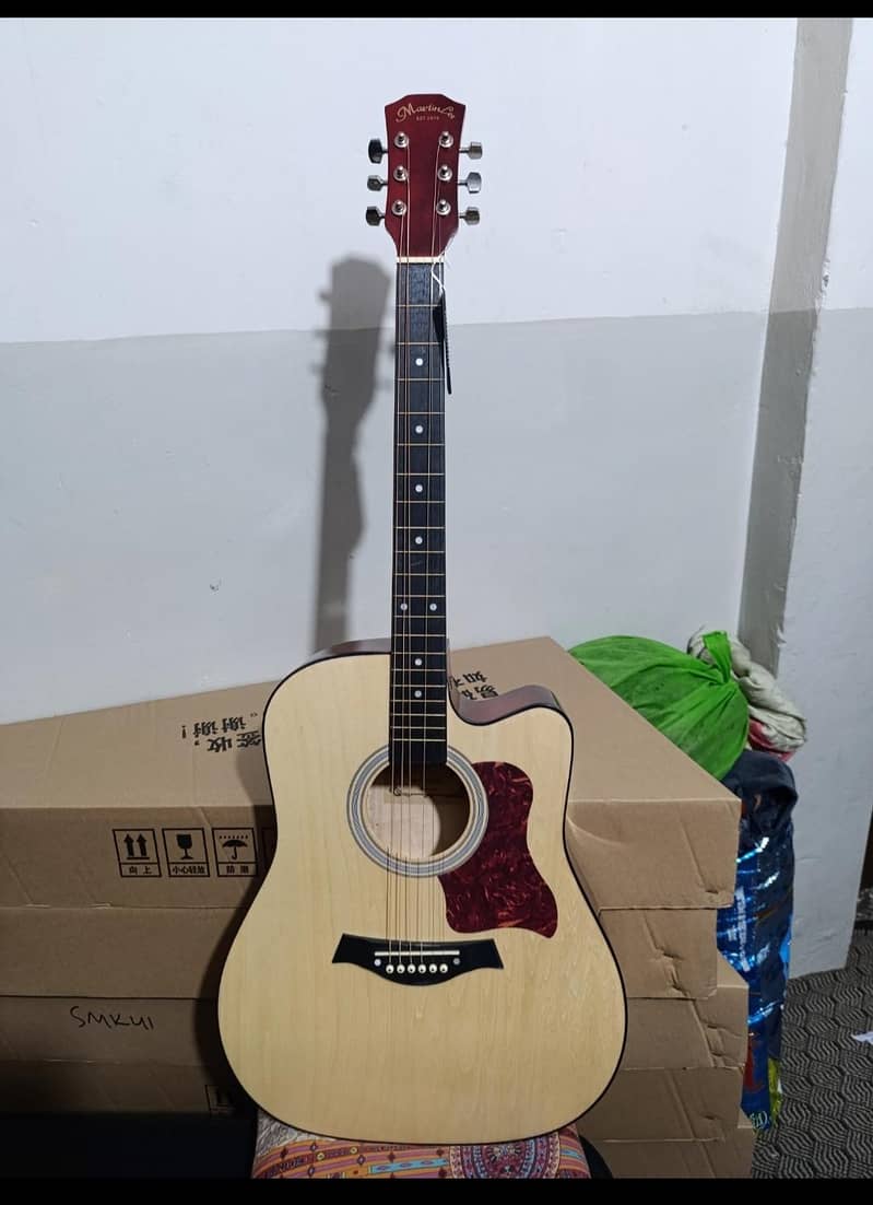 imported Guitar 15