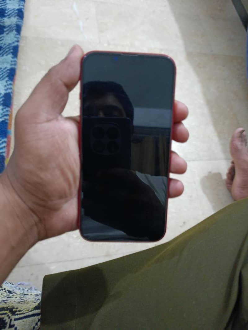 Apple iPhone 13 0