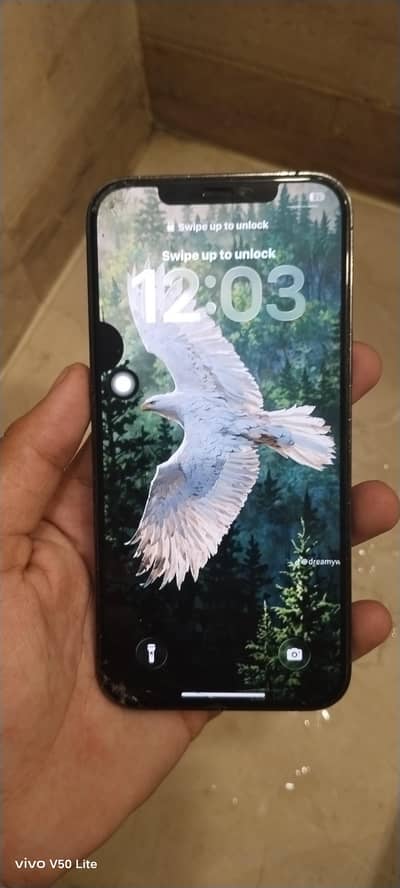 Apple iPhone 12 Pro Max