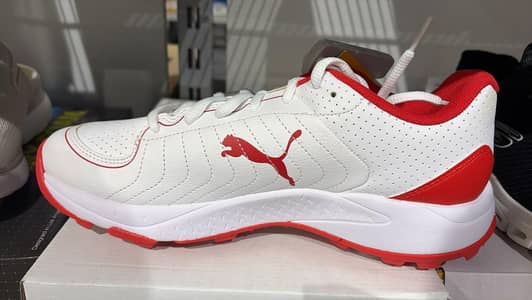 Puma Spikes