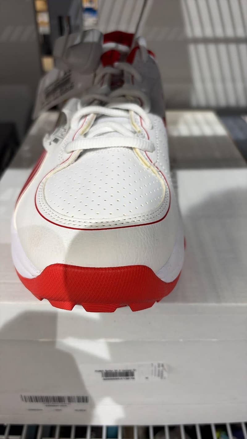 Puma Spikes 1