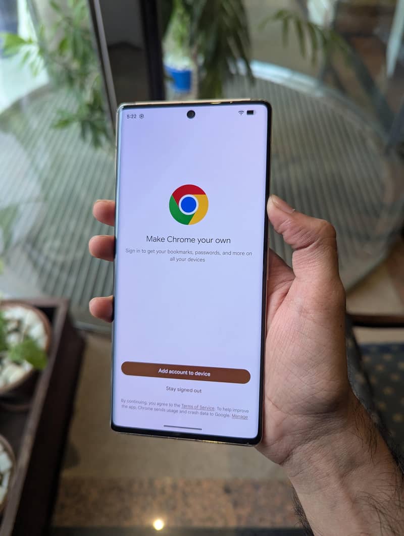 Google Pixel 6 Pro 1