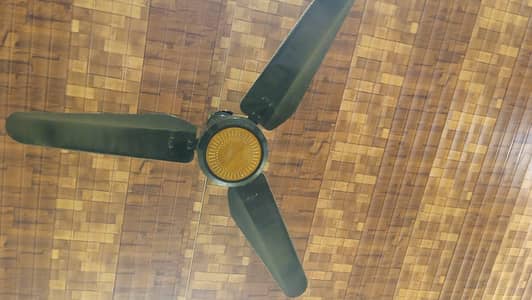 Fan for sale