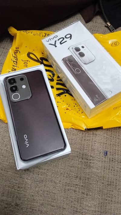 Vivo V29