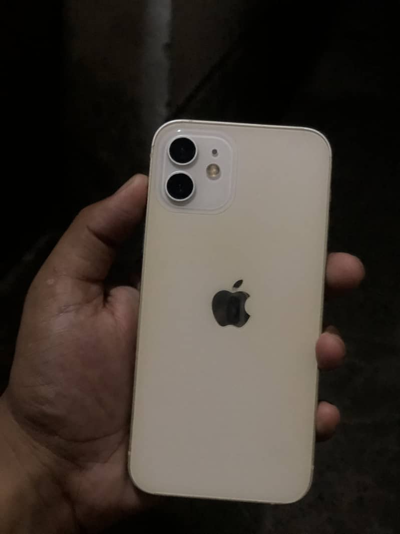 Apple iPhone 12 1