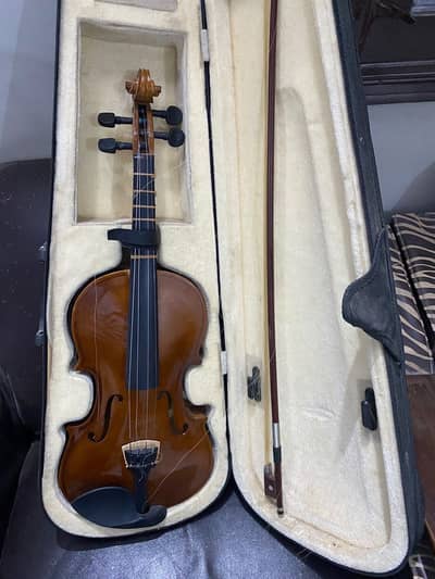 Violin