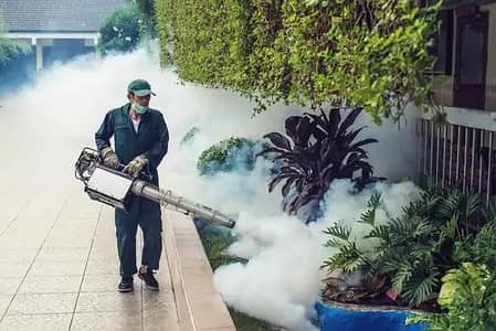 Dengue spray cockroach anti termite rat control