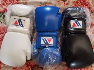winning boxing gloves