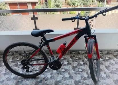 Morgan Mountain Bike