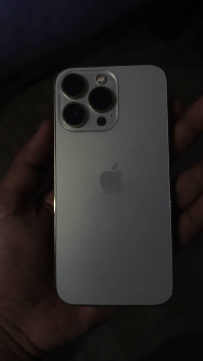 Apple iPhone 13 0