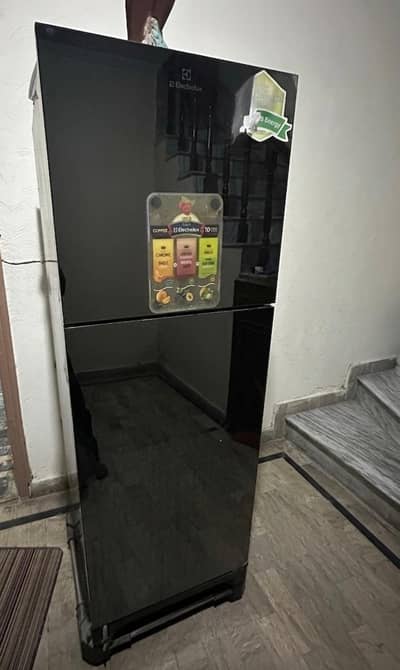 Electrolux Large Size Glass Door Refrigerator