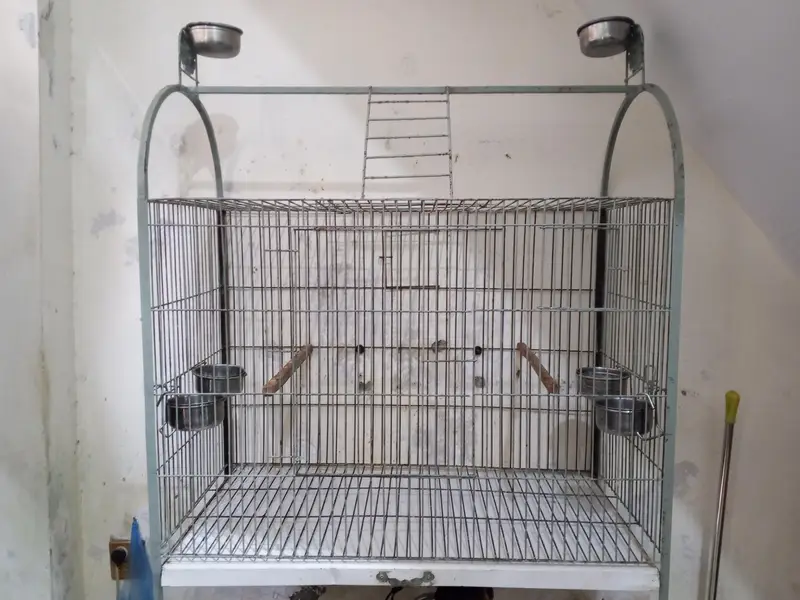 parrot cage for sell — photo 2