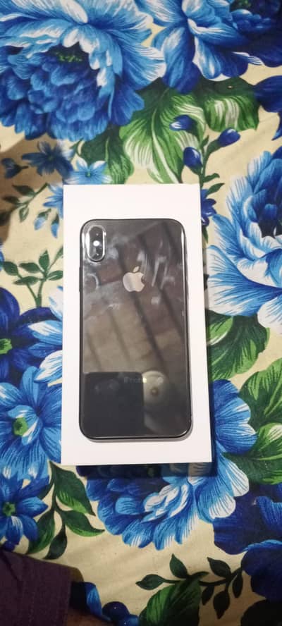 Apple iPhone X