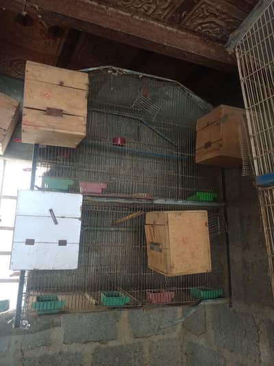 breeding cages