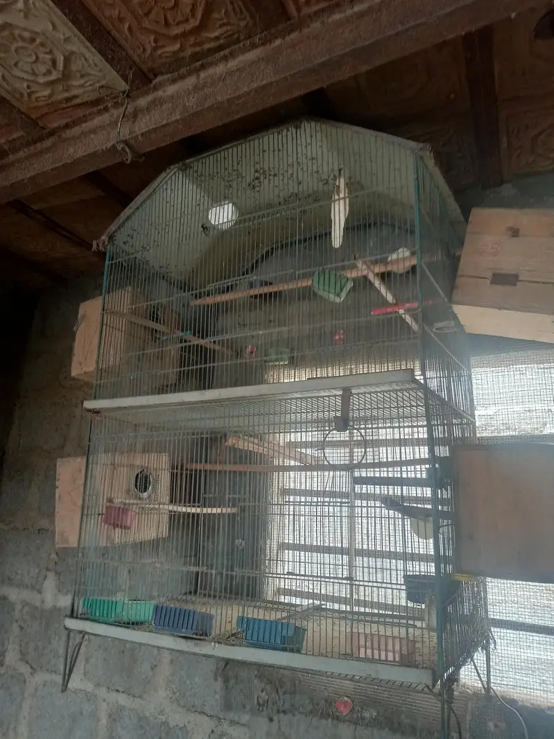 breeding cages — photo 2