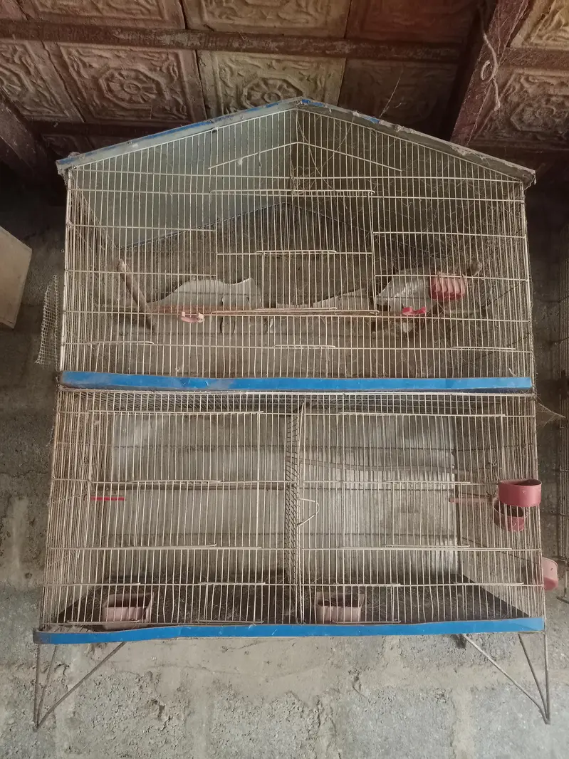 breeding cages — photo 3