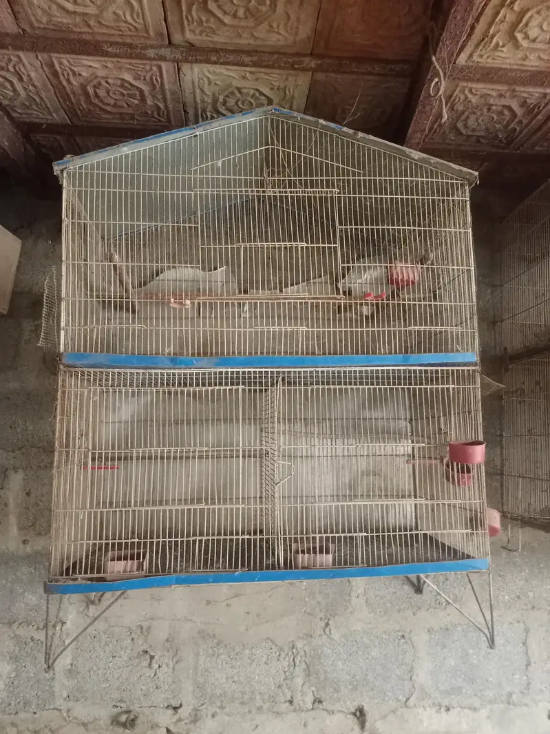 breeding cages — photo 4