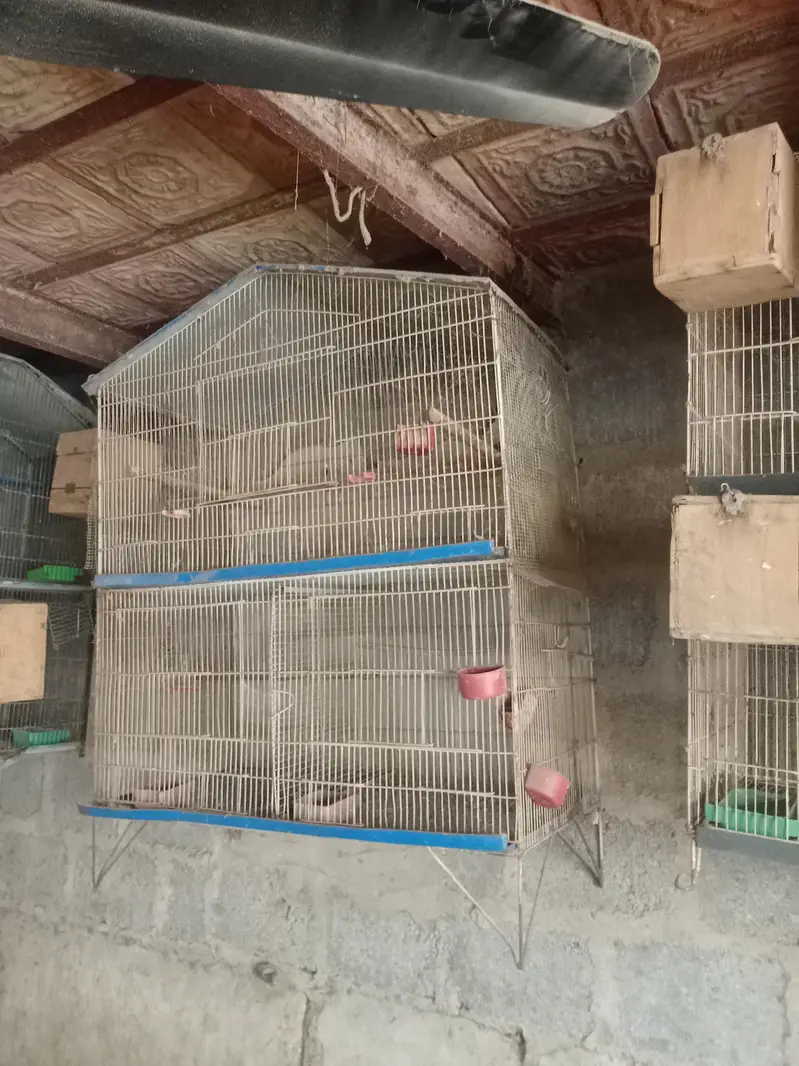 breeding cages — photo 10