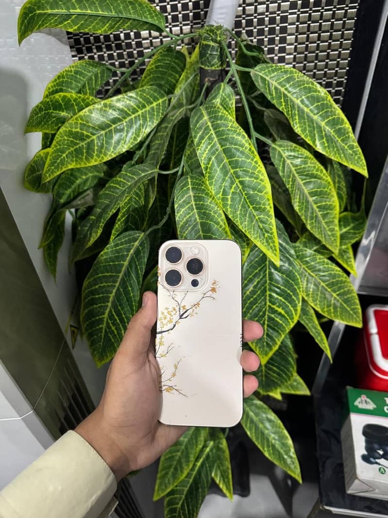 Apple iPhone 16 Pro 0