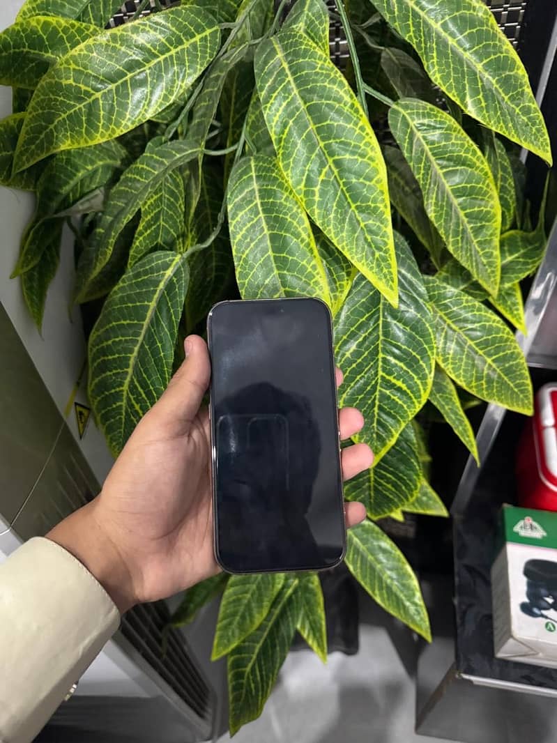 Apple iPhone 16 Pro 2