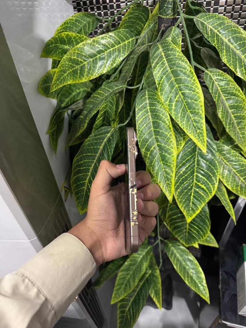 Apple iPhone 16 Pro 4