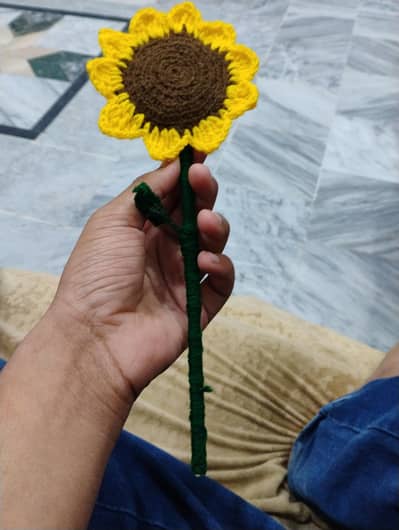 Sun flower crushe