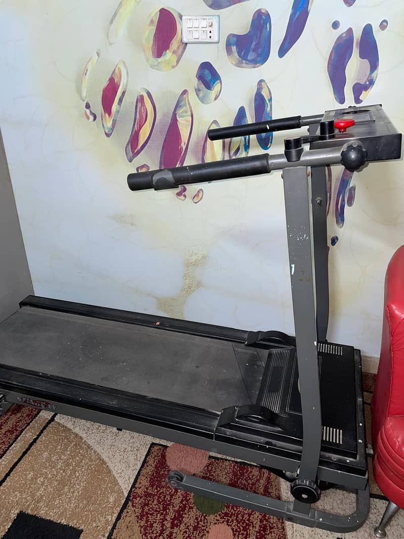 Stingray Treadmill 0