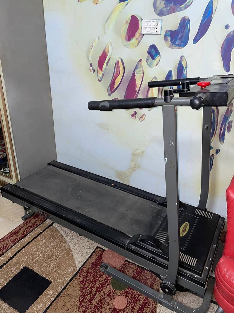 Stingray Treadmill 1