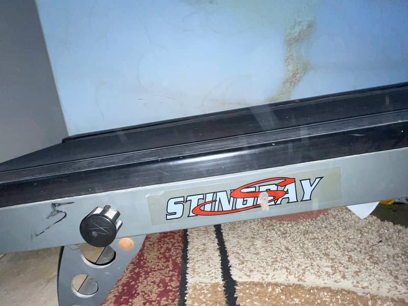 Stingray Treadmill 2