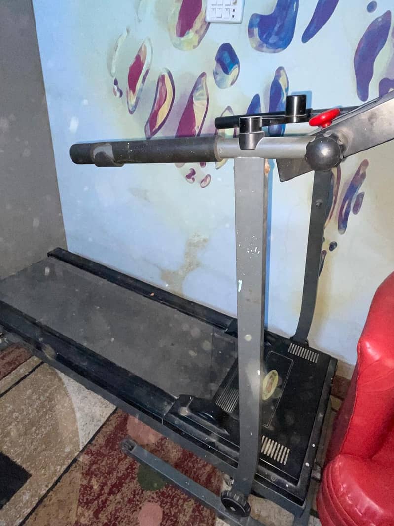 Stingray Treadmill 3