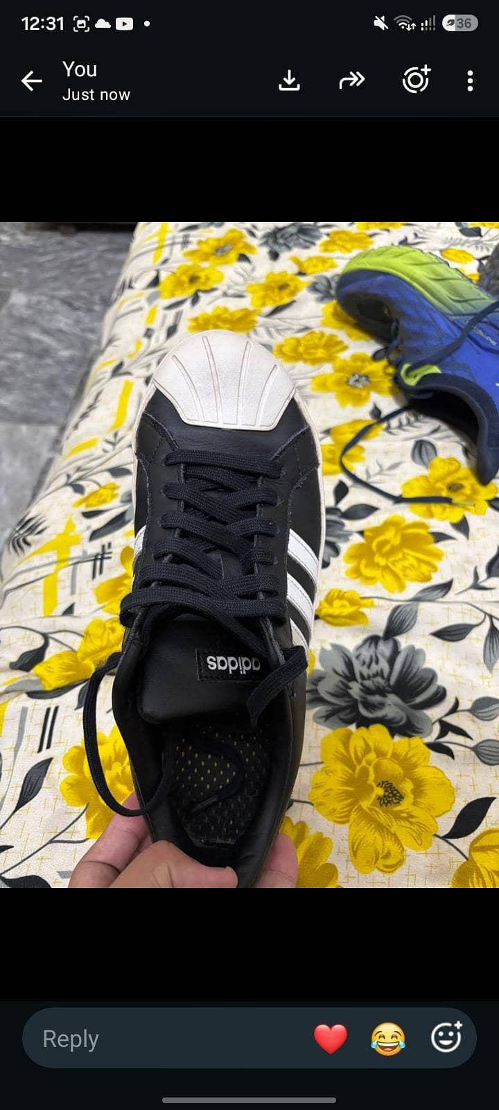 shoes 10