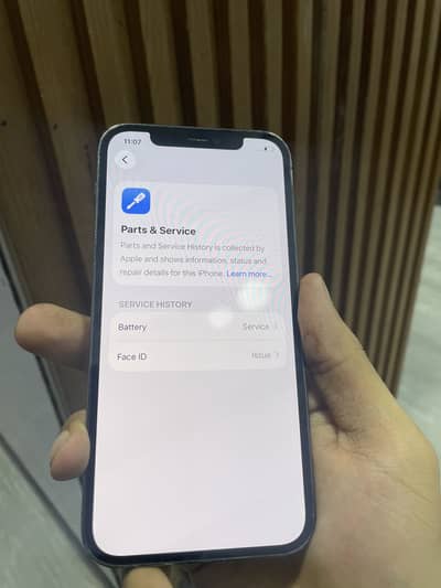 12 pro pta 256 gb